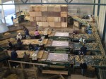[SF Harvest 2009 004.jpg]